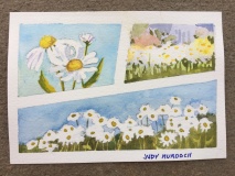 Daisies 3 Ways
