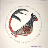 Tonala Parrot Oscar